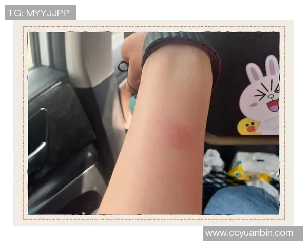 ppd以前的比赛-ppd以前的比赛